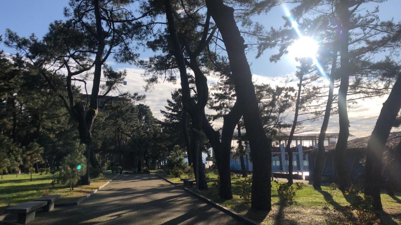 Hotel Palermo Kobuleti Bagian luar foto